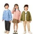 thumbnail image 1 of Godderr 1-10Y Toddler Kids V-Neck Down Jacket Boys Girls Windproof Lightweight Down Jackets Solid Color Warm Down Coat Tops Outerwear, 1 of 8