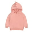 thumbnail image 1 of Godderr 6M-4Y Kids Toddler Baby Pullover Hoodie Sweatshirt for Boys Girls Fleece Dinosaur Jackets Newborn Solid color autumn style Sweatsuit, 1 of 6