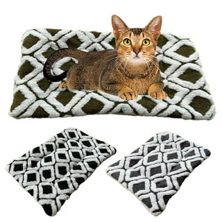 https://i5.walmartimages.com/seo/Godderr-Dog-Bed-Cat-Bed-Durable-Dog-Puppy-Pad-Cat-Beds-Super-Soft-Cat-Bed-Cozy-Crate-Bed-Mat-for-Small-to-Large-Sized-Dogs-Cats-Mat_1e5e0378-853a-4649-af75-8e23dcad75c5.abc2bf4425395a6ac88014b8acf2befc.jpeg?odnHeight=320&odnWidth=320&odnBg=FFFFFF
