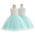 thumbnail image 1 of Godderr Infant Girls Tutu Dress Tulle Birthday Party Dresses Embroidery Tutu Evening Gowns Short Sleeveless Special Occasion Outfit for Toddler Kids Baby, 1 of 8