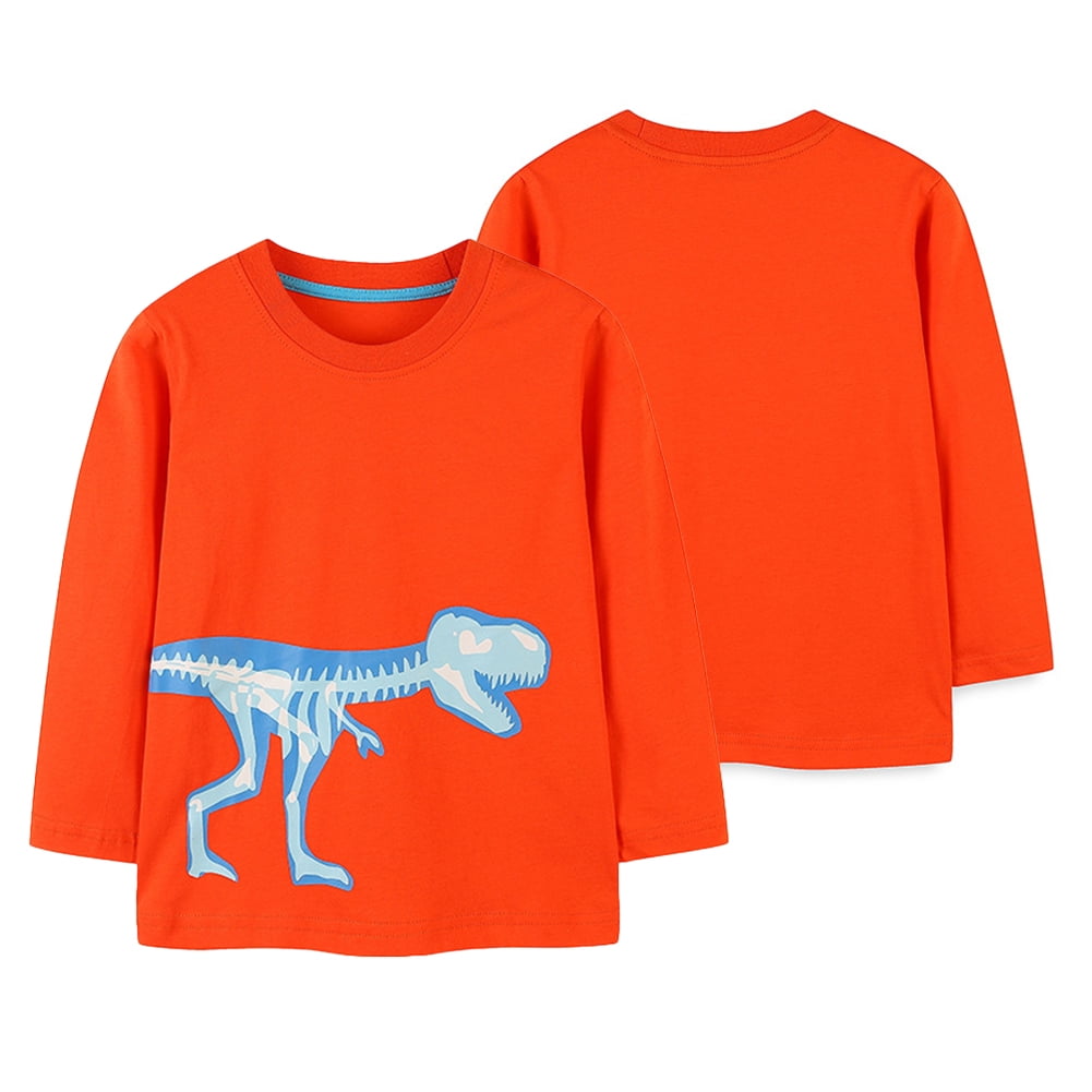 Godderr Kids Boys Crewneck Tee Tops for Toddler Baby Dinosaur T Shirt