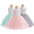 thumbnail image 1 of Godderr Toddler Baby Girls Princess Dress Newborn Flower Princess Dress Bridesmaid Dresses Princess Dresses Girls Tutu Tulle Dresses Girls Party Birthday Dress for 1M-3Y, 1 of 8