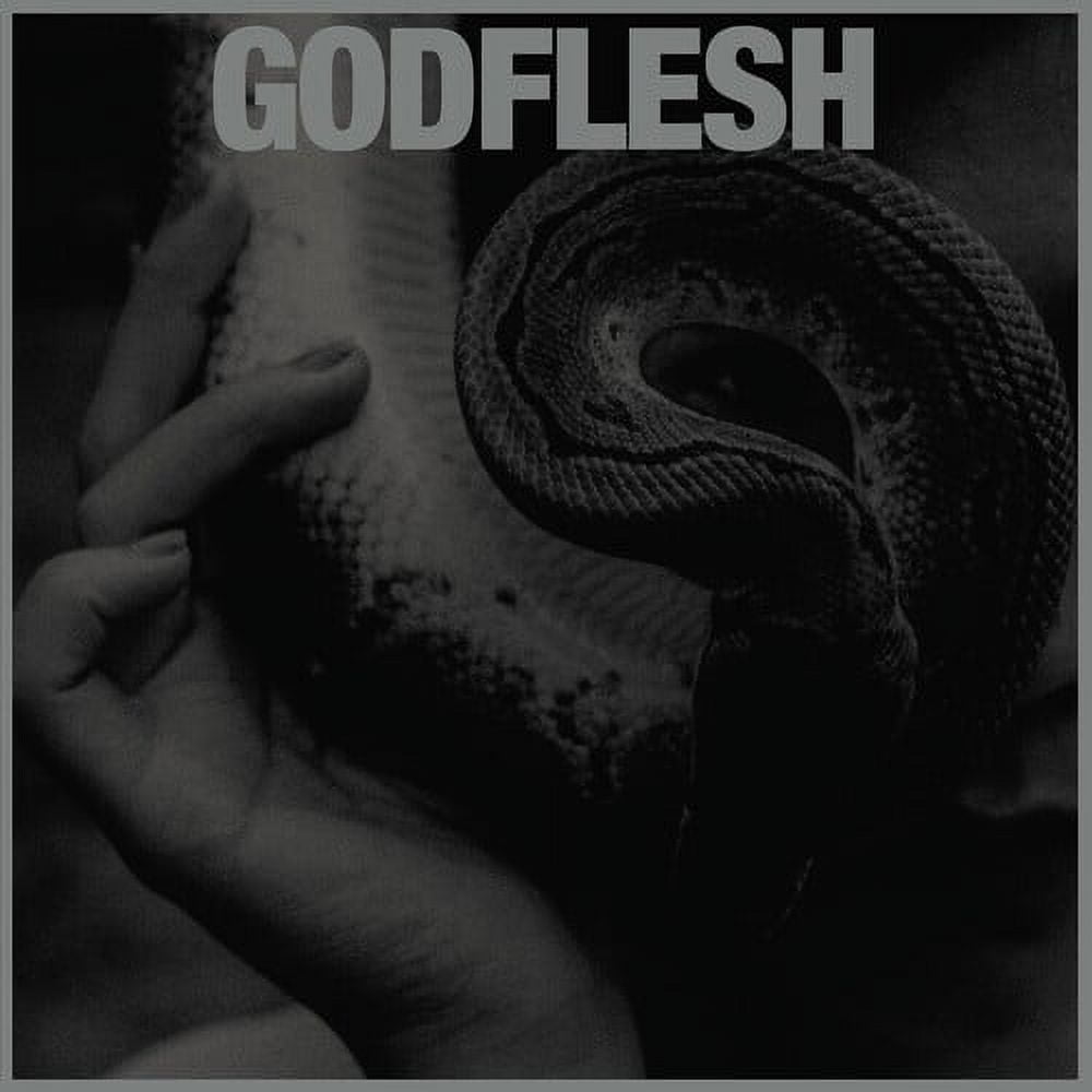 Godflesh - Purge - Music & Performance - Vinyl