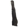 thumbnail image 1 of Godiva Blonde Wig Costume, 1 of 1