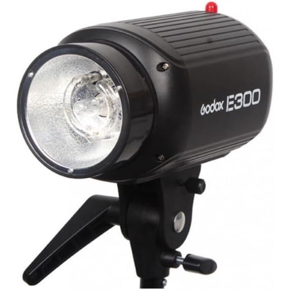 Godox E300 Monolight Studio Flash Strobe Light for Phototgraphy, 300W Photoshoot Strobe Lighting, GN 58 Daylight Flash Dimmable, 75W Modeling Lamp, Recycle Time 0.3-2s, AC 110V