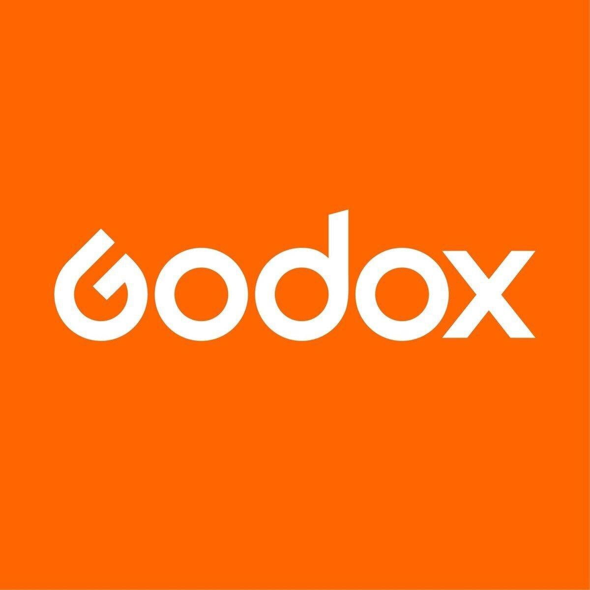 Godox ML II-C4 Charging Case for MoveLink II Wireless Lavalier Microphone