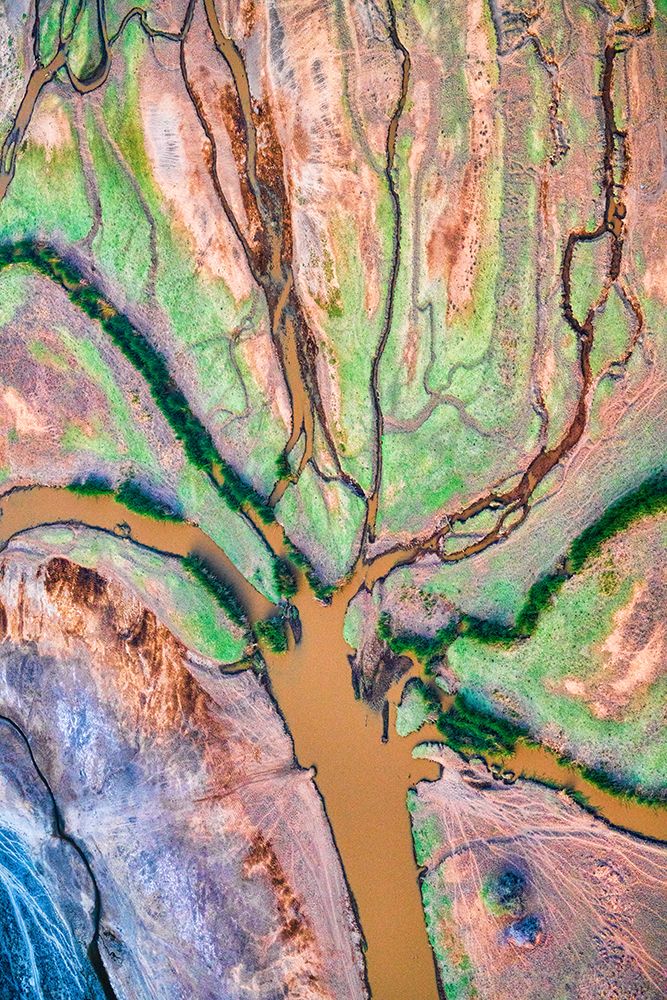 Gods Palette Poster Print John Fan (18 x 24)