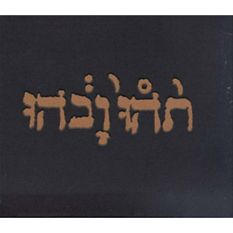 未使用 Godspeed You Black Emperor! / レコード CST183 Godspeed You! Black Emperor | ''NO TITLE AS OF 13