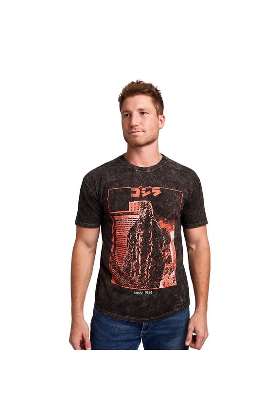Godzilla Kanji Title Art Men's Black Cloud Wash Short Sleeve Tee -Small