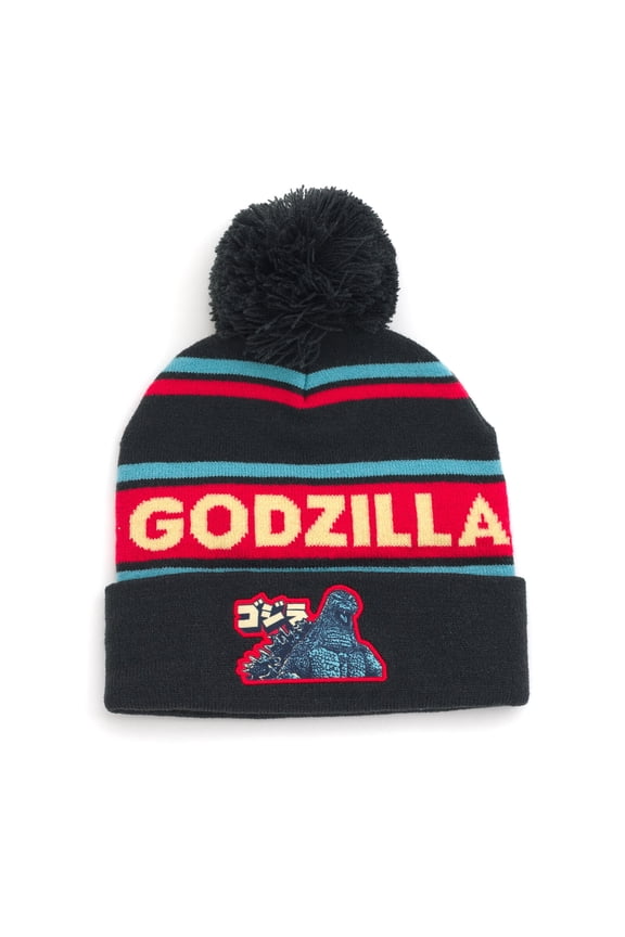 Youth Boys' Pom Pom Beanie Winter Hat Beanie Hat Black Teal