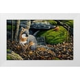 thumbnail image 1 of Goebel, Wilhelm 14x10 White Modern Wood Framed Museum Art Print Titled - Grey Fox, 1 of 4