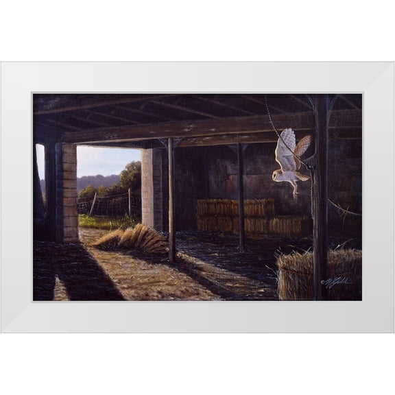 Goebel, Wilhelm 14x10 White Modern Wood Framed Museum Art Print Titled - On Silent Wings - Barn Owl