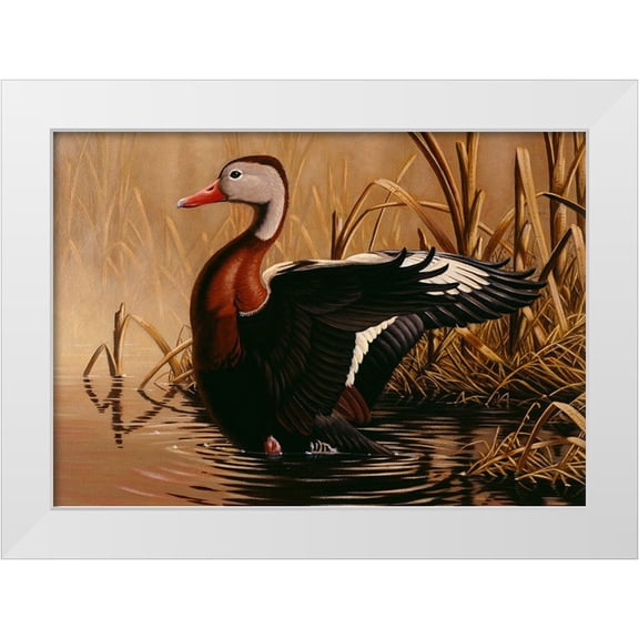 Goebel, Wilhelm 14x11 White Modern Wood Framed Museum Art Print Titled - 1988 Black Bellied Whistling Duck