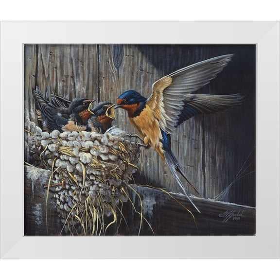 Goebel, Wilhelm 14x12 White Modern Wood Framed Museum Art Print Titled - Country Living - Barn Swallows