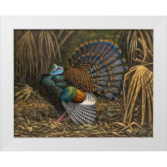 Goebel, Wilhelm 14x12 White Modern Wood Framed Museum Art Print Titled - Ocellated Turkey