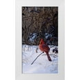 thumbnail image 1 of Goebel, Wilhelm 15x24 White Modern Wood Framed Museum Art Print Titled - Roadside Cardinal, 1 of 4