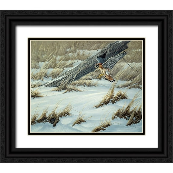Goebel, Wilhelm 17x15 Black Ornate Wood Framed with Double Matting Museum Art Print Titled - Hit Or Miss