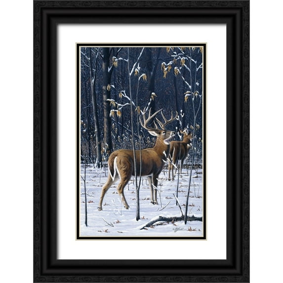 Goebel, Wilhelm 17x24 Black Ornate Wood Framed with Double Matting Museum Art Print Titled - Buck In His Prime