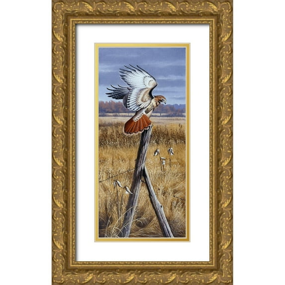 Goebel, Wilhelm 17x32 Gold Ornate Wood Framed with Double Matting Museum Art Print Titled - The Corner Post - Red Tailed Hawk