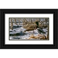 thumbnail image 1 of Goebel, Wilhelm 18x12 Black Ornate Wood Framed with Double Matting Museum Art Print Titled - Spring Thaw - Mallards, 1 of 4