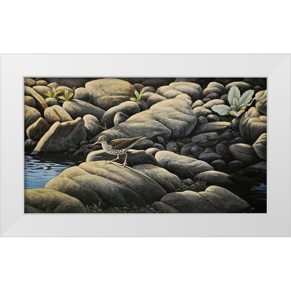 Goebel, Wilhelm 18x12 White Modern Wood Framed Museum Art Print Titled - Along The Creek - Spotted Sandpiper