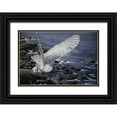 thumbnail image 1 of Goebel, Wilhelm 18x14 Black Ornate Wood Framed with Double Matting Museum Art Print Titled - Winter Shore - Snowy Owl, 1 of 4
