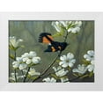 thumbnail image 1 of Goebel, Wilhelm 18x14 White Modern Wood Framed Museum Art Print Titled - Redstart And Dogwood, 1 of 4
