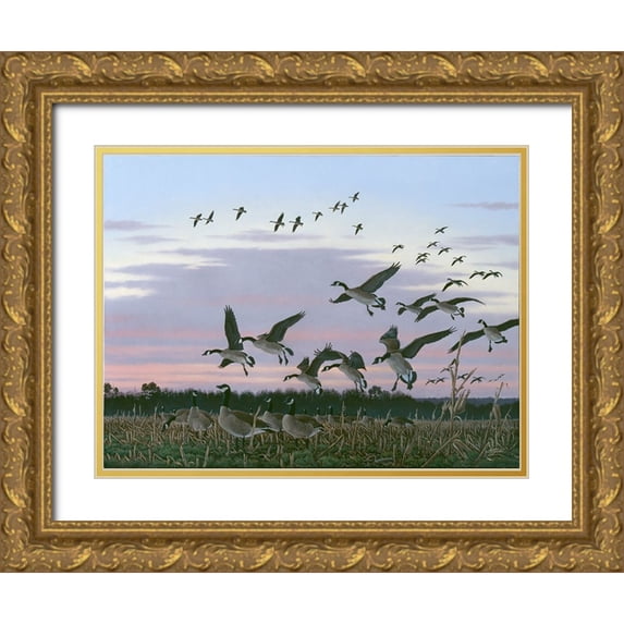 Goebel, Wilhelm 18x15 Gold Ornate Wood Framed with Double Matting Museum Art Print Titled - Wings Over Delmarva