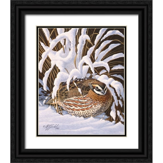 Goebel, Wilhelm 20x24 Black Ornate Wood Framed with Double Matting Museum Art Print Titled - Hiding Quail