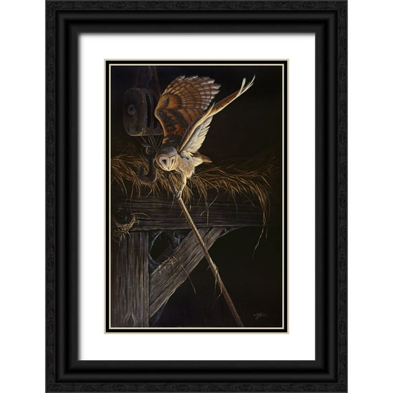 Goebel, Wilhelm 22x32 Black Ornate Wood Framed with Double Matting Museum Art Print Titled - Tight Rope Barn Owl