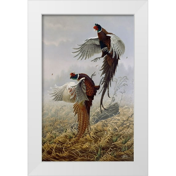 Goebel, Wilhelm 22x32 White Modern Wood Framed Museum Art Print Titled - Ringneck Rivalry