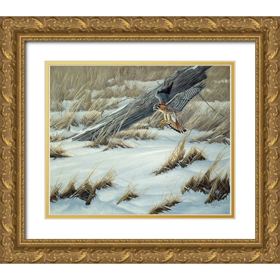 Goebel, Wilhelm 23x20 Gold Ornate Wood Framed with Double Matting Museum Art Print Titled - Hit Or Miss