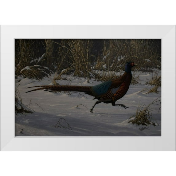 Goebel, Wilhelm 24x17 White Modern Wood Framed Museum Art Print Titled - Strauch Pheasant