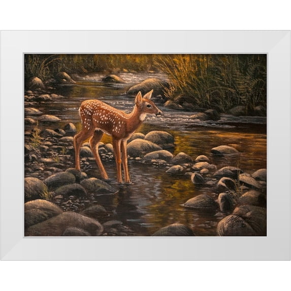 Goebel, Wilhelm 24x19 White Modern Wood Framed Museum Art Print Titled - Waters Edge - Fawn