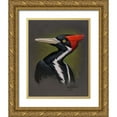 thumbnail image 1 of Goebel, Wilhelm 26x32 Gold Ornate Wood Framed with Double Matting Museum Art Print Titled - Ivory Billed Portrait, 1 of 4
