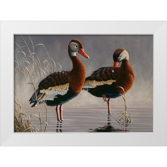 Goebel, Wilhelm 32x24 White Modern Wood Framed Museum Art Print Titled - 1989 Black Bellied Whistling Duck