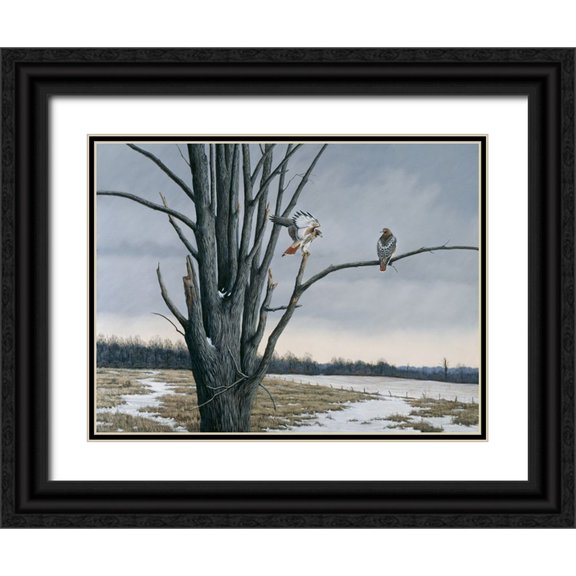 Goebel, Wilhelm 32x25 Black Ornate Wood Framed with Double Matting Museum Art Print Titled - Old Elm And Redtails