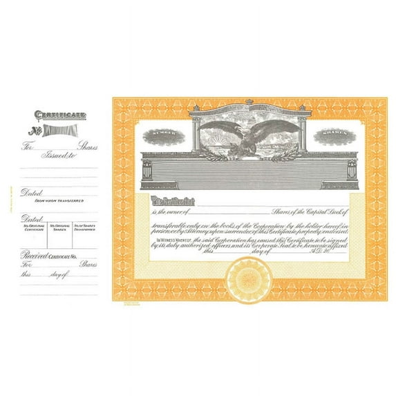 Goes 365 Stock Certificate, Blank Stock Certificates, Size 8-1/2" x 15", Printable, Laser or Ink Jet Compatiable (Pack of 100)