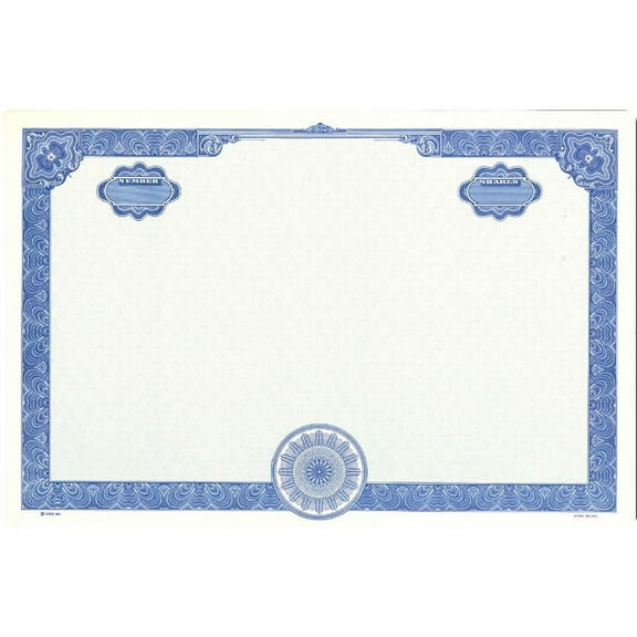 Goes 858 Blank Stock Certificate, Coporation Certificates, Size 8-1/2" x 11", Printable, Laser or Ink Jet Compatiable (Pack of 10)