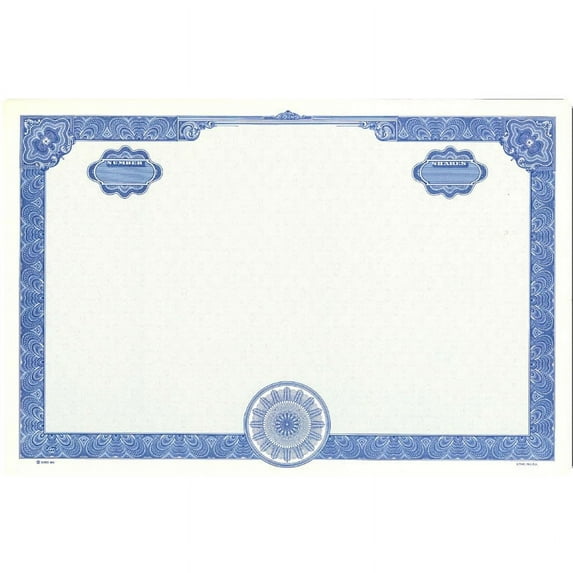 Goes 858 Blank Stock Certificate, Coporation Certificates, Size 8-1/2" x 11", Printable, Laser or Ink Jet Compatiable (Pack of 25)