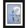 thumbnail image 1 of Goff, Ellen 11x14 Black Ornate Wood Framed with Double Matting Museum Art Print Titled - Japan-Hokkaido A whooper swan drips water from its bill after drinking, 1 of 4