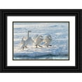thumbnail image 1 of Goff, Ellen 14x11 Black Ornate Wood Framed with Double Matting Museum Art Print Titled - Japan-Hokkaido A group of three whooper swans parade along the edge of the ice, 1 of 4