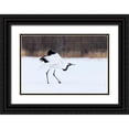 thumbnail image 1 of Goff, Ellen 14x11 Black Ornate Wood Framed with Double Matting Museum Art Print Titled - Japan-Hokkaido-Kushiro, 1 of 4