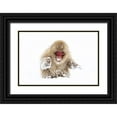 thumbnail image 1 of Goff, Ellen 14x11 Black Ornate Wood Framed with Double Matting Museum Art Print Titled - Japan-Nagano, 1 of 4