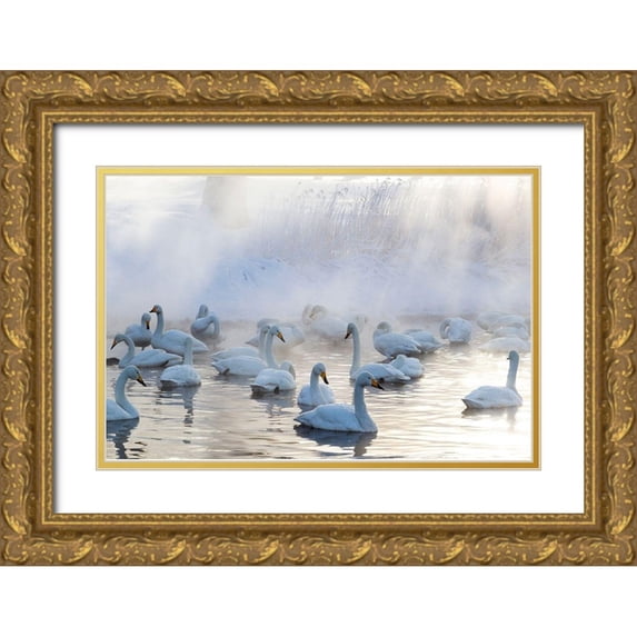 Goff, Ellen 14x11 Gold Ornate Wood Framed with Double Matting Museum Art Print Titled - Japan-Hokkaido A group of whooper swans congregate in the mist
