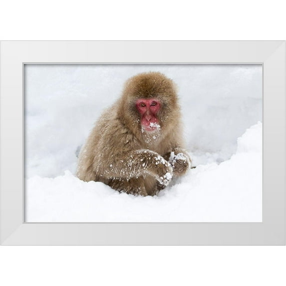 Goff, Ellen 14x11 White Modern Wood Framed Museum Art Print Titled - Japan-Nagano