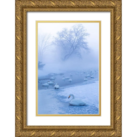 Goff, Ellen 17x24 Gold Ornate Wood Framed with Double Matting Museum Art Print Titled - Japan-Hokkaido A group of whooper swans congregate in the mist