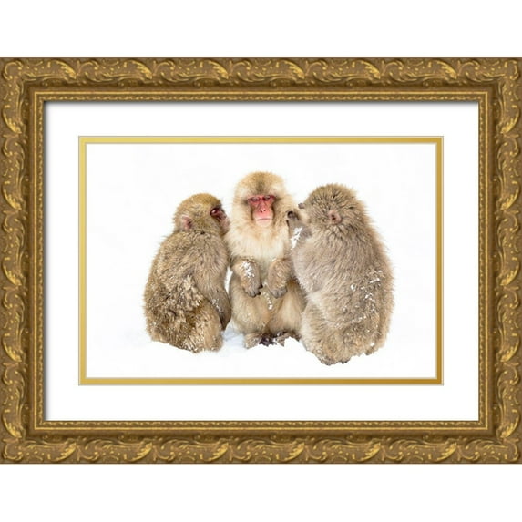 Goff, Ellen 18x13 Gold Ornate Wood Framed with Double Matting Museum Art Print Titled - Japan-Nagano