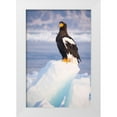 thumbnail image 1 of Goff, Ellen 23x32 White Modern Wood Framed Museum Art Print Titled - Japan-Hokkaido-Rausu-Stellers sea eagle Portrait of a Stellers sea eagle on a snow perch, 1 of 4