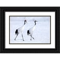 thumbnail image 1 of Goff, Ellen 24x17 Black Ornate Wood Framed with Double Matting Museum Art Print Titled - Japan-Hokkaido-Kushiro Two red-crowned cranes begin a courtship dance, 1 of 4